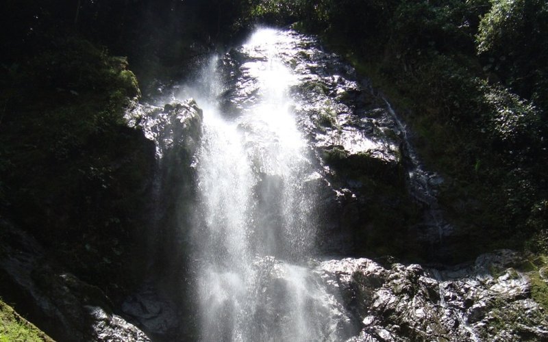 Pasadía Termales Santa Rosa de Cabal
